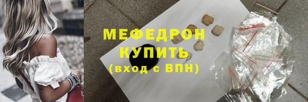 стаф Богданович